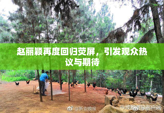 赵丽颖再度回归荧屏，引发观众热议与期待