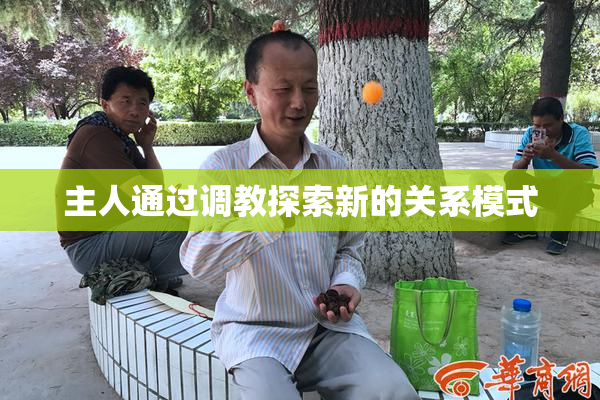 主人通过调教探索新的关系模式