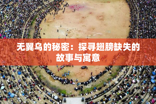 无翼乌的秘密：探寻翅膀缺失的故事与寓意