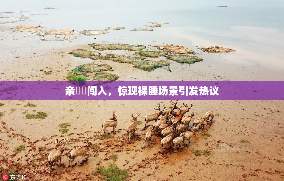 亲妺妺闯入，惊现裸睡场景引发热议