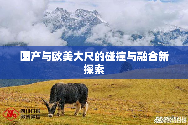 国产与欧美大尺的碰撞与融合新探索