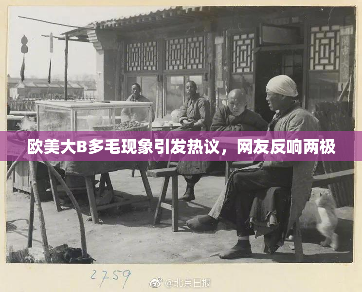 欧美大B多毛现象引发热议，网友反响两极