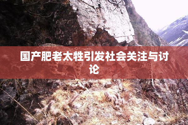 国产肥老太牲引发社会关注与讨论