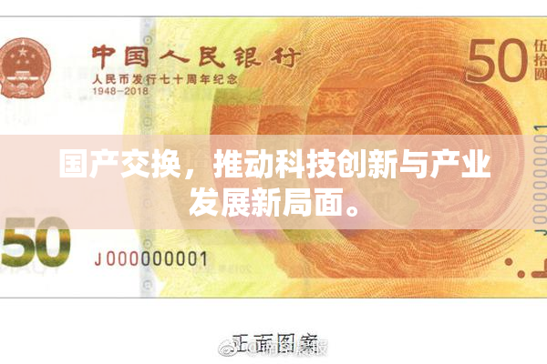 国产交换，推动科技创新与产业发展新局面。