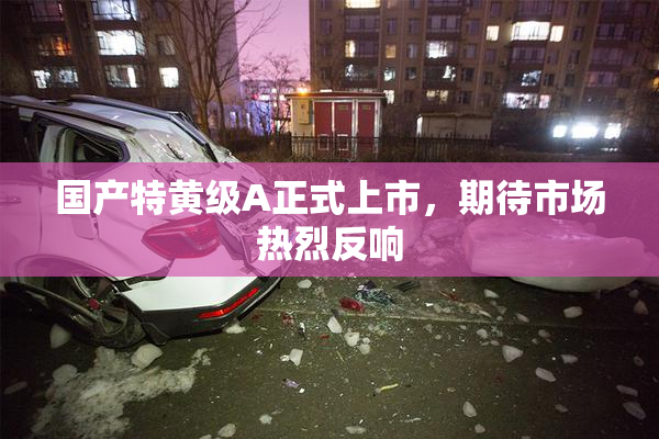 国产特黄级A正式上市，期待市场热烈反响