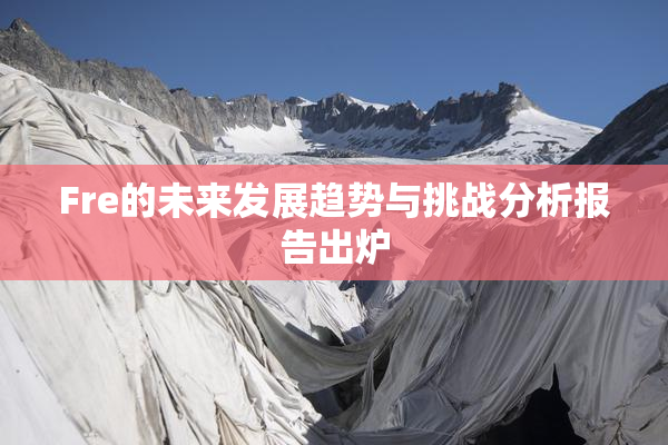 Fre的未来发展趋势与挑战分析报告出炉