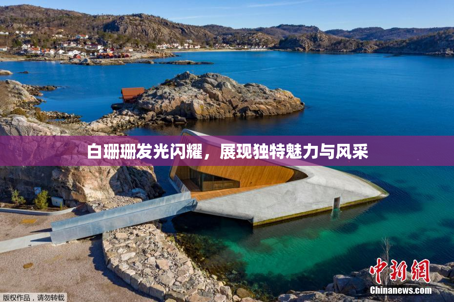 白珊珊发光闪耀，展现独特魅力与风采