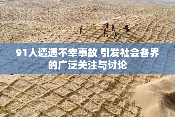 91人遭遇不幸事故 引发社会各界的广泛关注与讨论