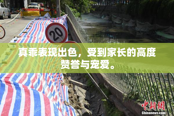 真乖表现出色，受到家长的高度赞誉与宠爱。