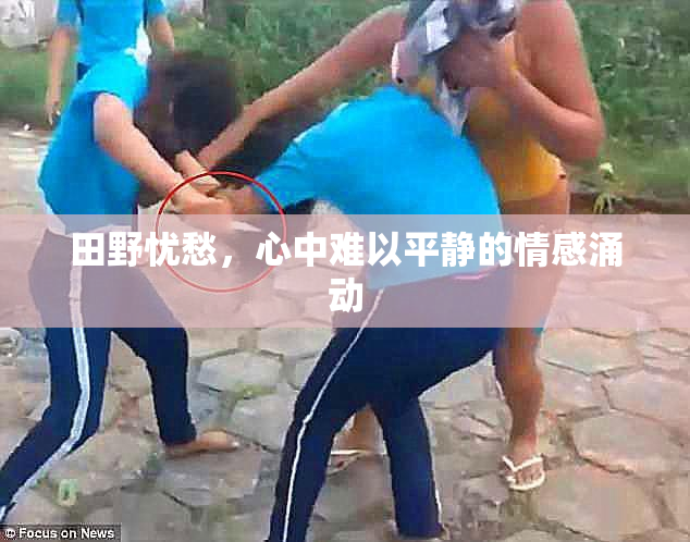 田野忧愁，心中难以平静的情感涌动
