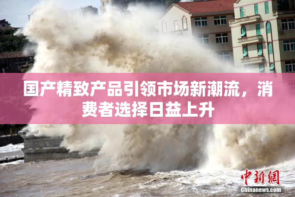 国产精致产品引领市场新潮流，消费者选择日益上升