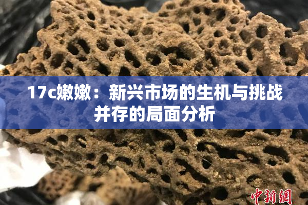 17c嫩嫩：新兴市场的生机与挑战并存的局面分析