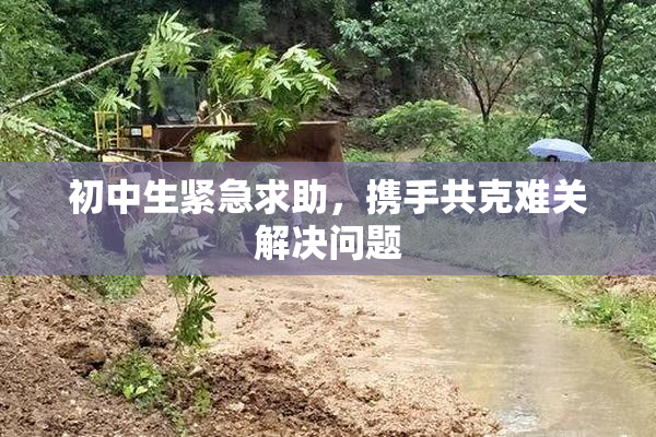 初中生紧急求助，携手共克难关解决问题