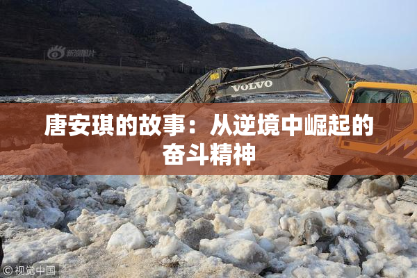 唐安琪的故事：从逆境中崛起的奋斗精神