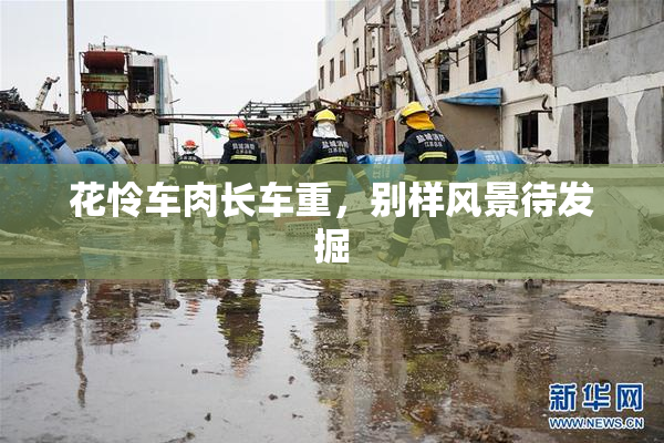 花怜车肉长车重，别样风景待发掘