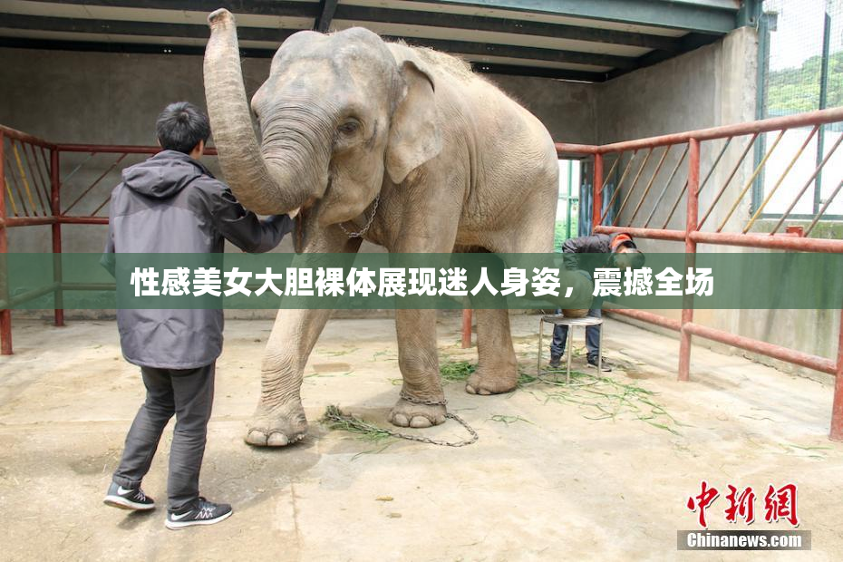 性感美女大胆裸体展现迷人身姿，震撼全场