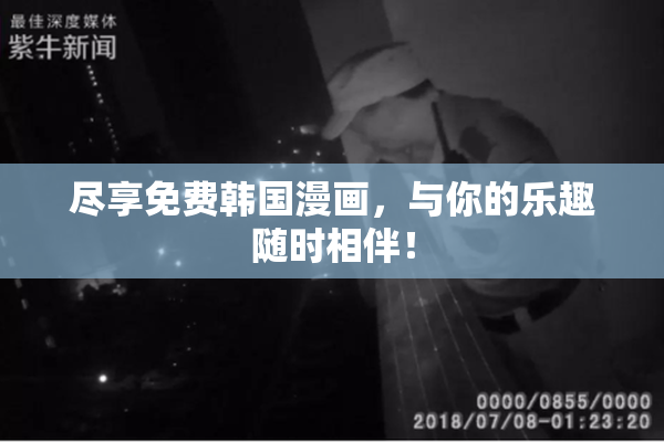尽享免费韩国漫画，与你的乐趣随时相伴！