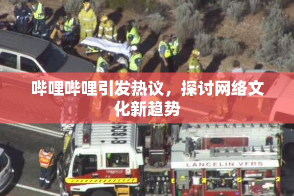 哔哩哔哩引发热议，探讨网络文化新趋势