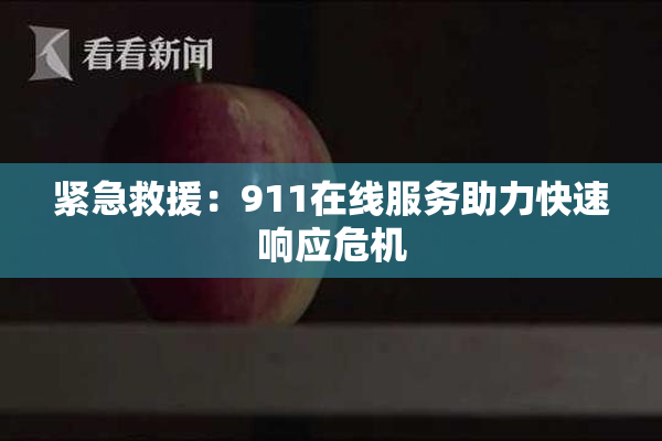 紧急救援：911在线服务助力快速响应危机