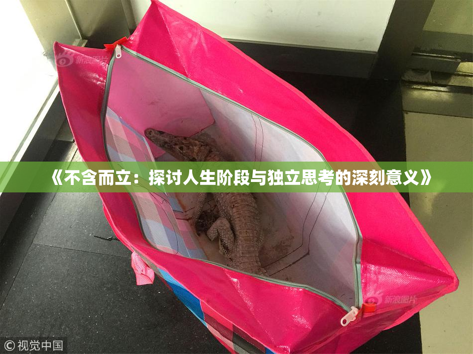 《不含而立：探讨人生阶段与独立思考的深刻意义》