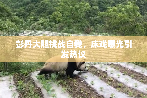 彭丹大胆挑战自我，床戏曝光引发热议