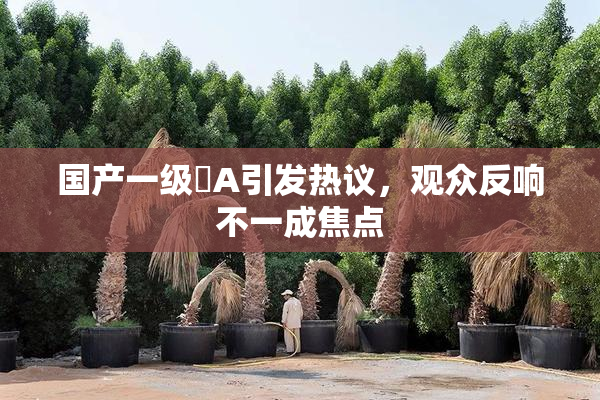 国产一级婬A引发热议，观众反响不一成焦点