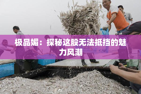 极品媚：探秘这股无法抵挡的魅力风潮
