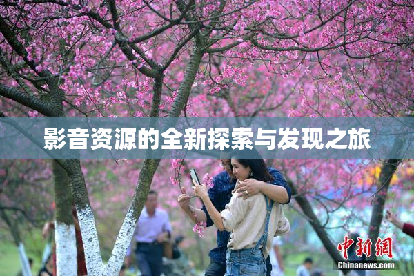 影音资源的全新探索与发现之旅