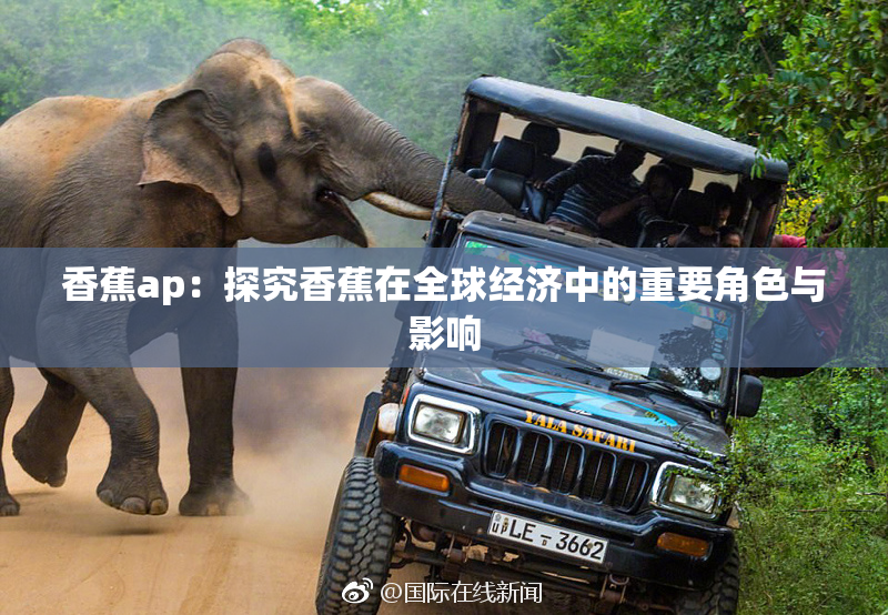 香蕉ap：探究香蕉在全球经济中的重要角色与影响