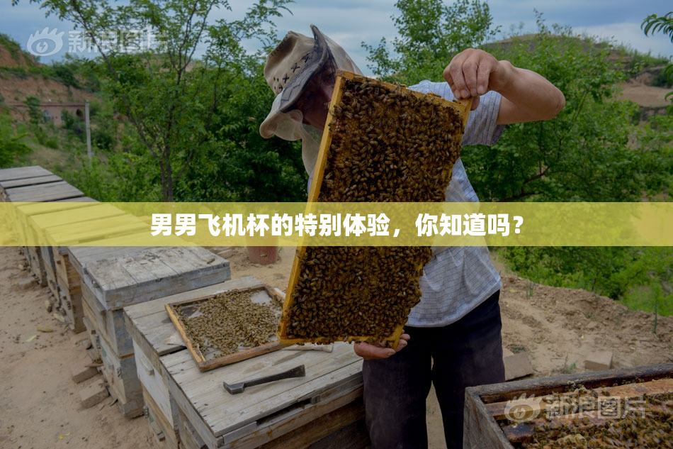 男男飞机杯的特别体验，你知道吗？