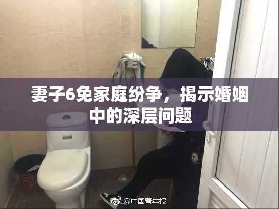妻子6免家庭纷争，揭示婚姻中的深层问题