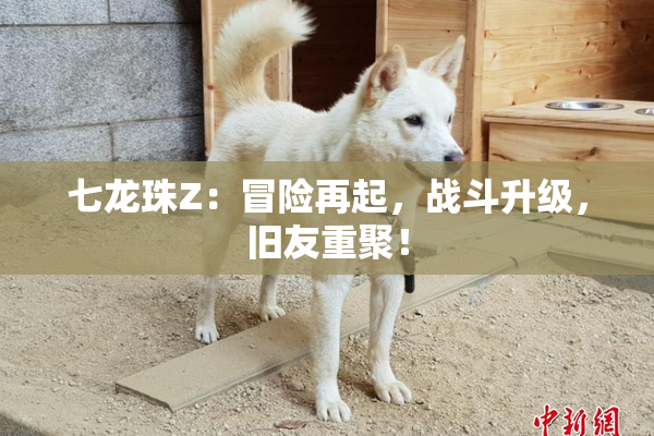 七龙珠Z：冒险再起，战斗升级，旧友重聚！