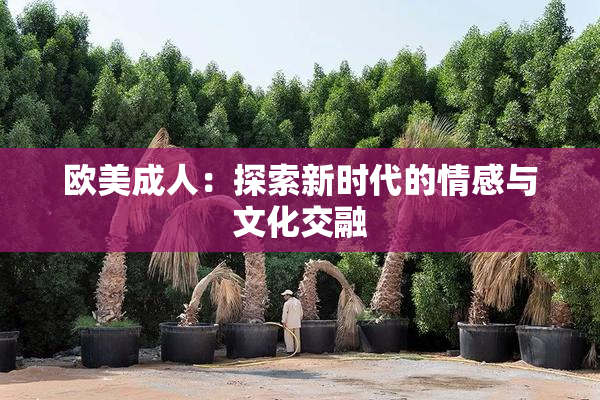 欧美成人：探索新时代的情感与文化交融