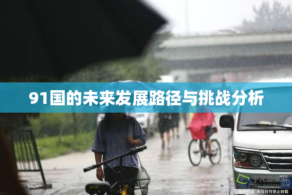 91国的未来发展路径与挑战分析