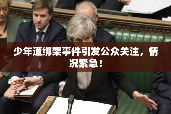 少年遭绑架事件引发公众关注，情况紧急！