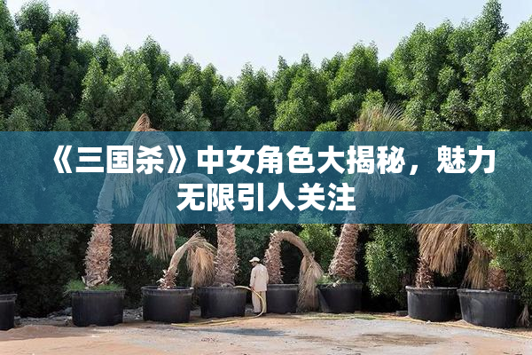 《三国杀》中女角色大揭秘，魅力无限引人关注