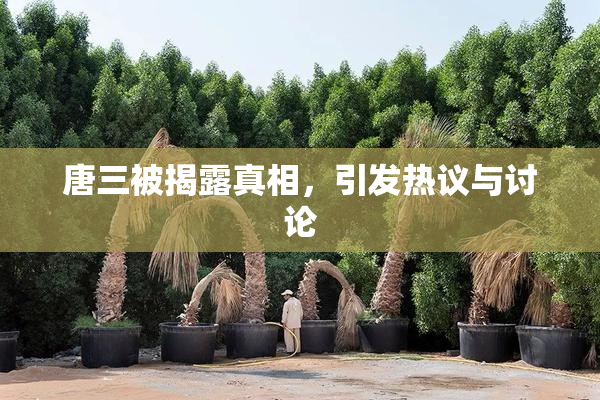 唐三被揭露真相，引发热议与讨论