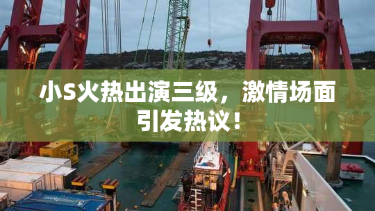小S火热出演三级，激情场面引发热议！