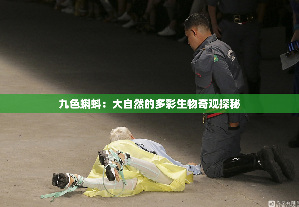 九色蝌蚪：大自然的多彩生物奇观探秘
