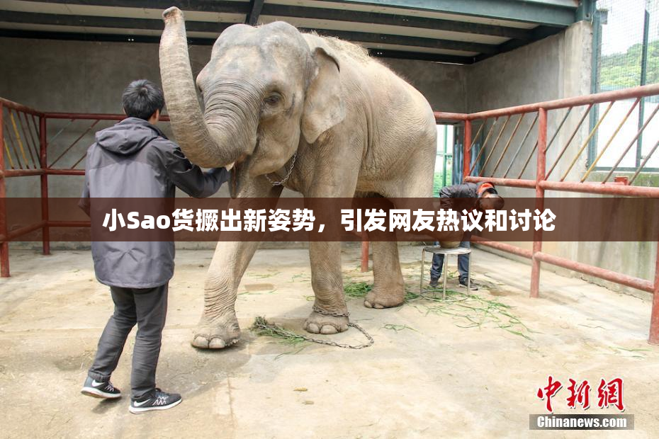 小Sao货撅出新姿势，引发网友热议和讨论