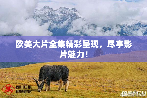 欧美大片全集精彩呈现，尽享影片魅力！