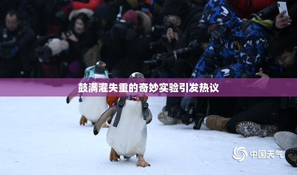 鼓满灌失重的奇妙实验引发热议