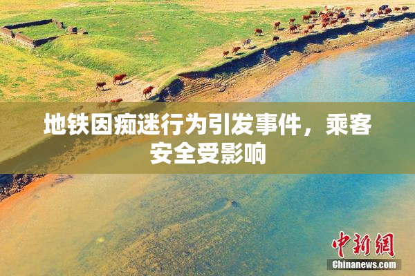 地铁因痴迷行为引发事件，乘客安全受影响