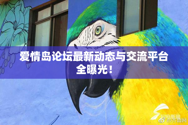 爱情岛论坛最新动态与交流平台全曝光！
