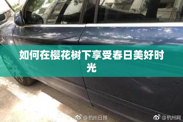 如何在樱花树下享受春日美好时光