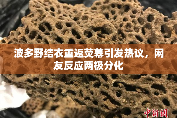 波多野结衣重返荧幕引发热议，网友反应两极分化