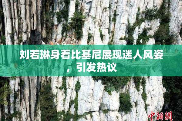 刘若琳身着比基尼展现迷人风姿，引发热议