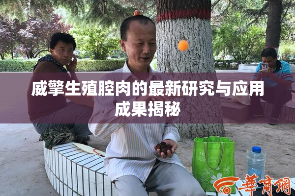 威擎生殖腔肉的最新研究与应用成果揭秘