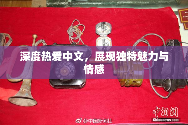 深度热爱中文，展现独特魅力与情感