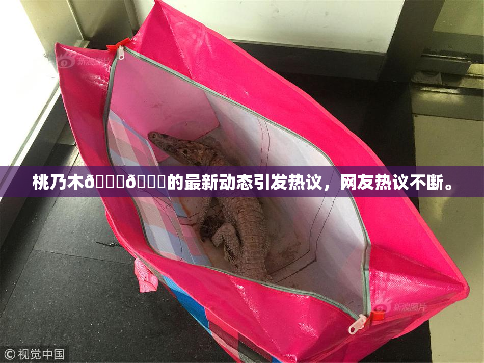 桃乃木💋🍑的最新动态引发热议，网友热议不断。
